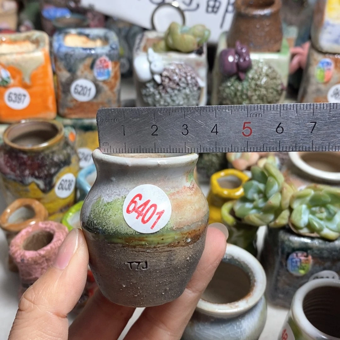 拍5送一个小礼物