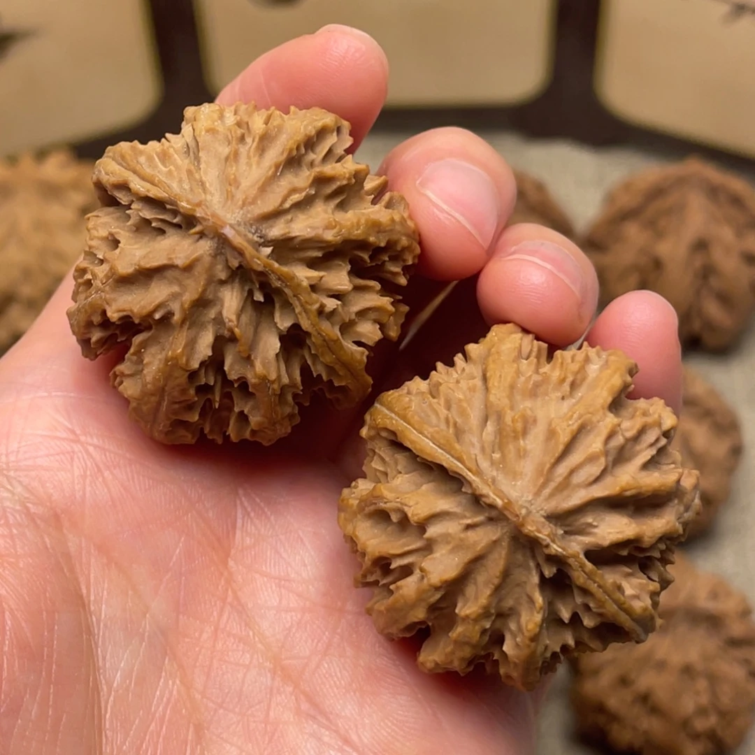 文玩核桃把件秦岭核桃6号