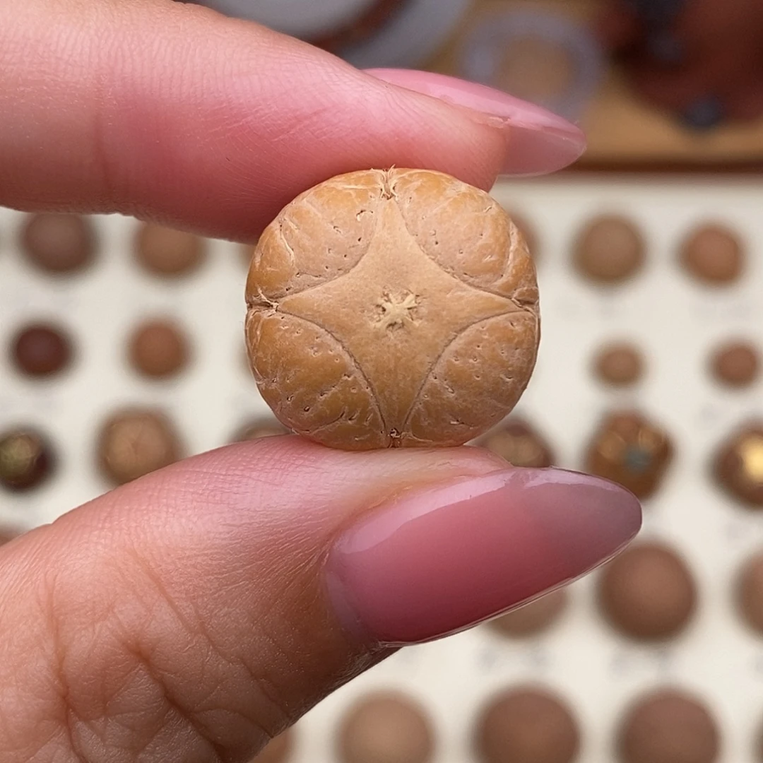 凤眼菩提吊坠麒麟
