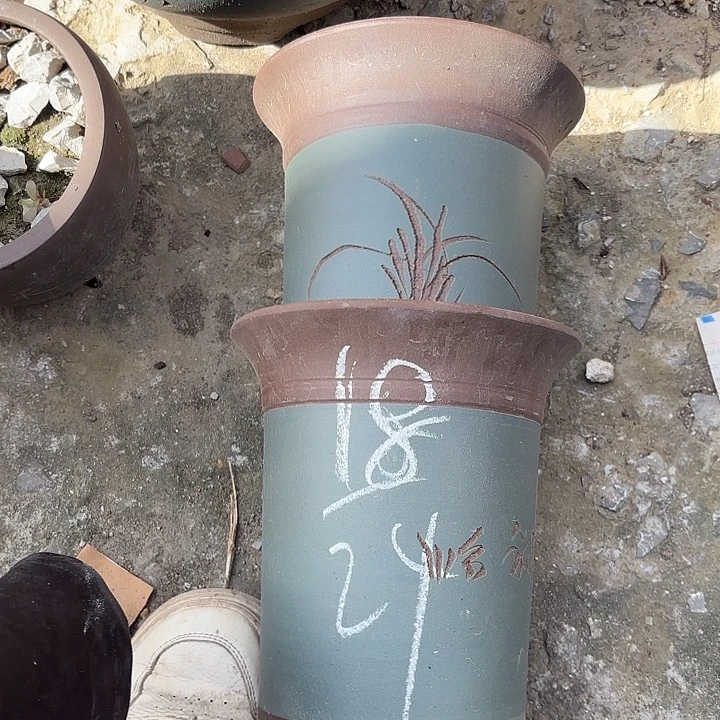 花盆紫砂紫砂的花