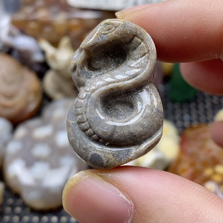 硅化珊瑚（珊瑚玉）颈饰未镶嵌有瑕小吊坠