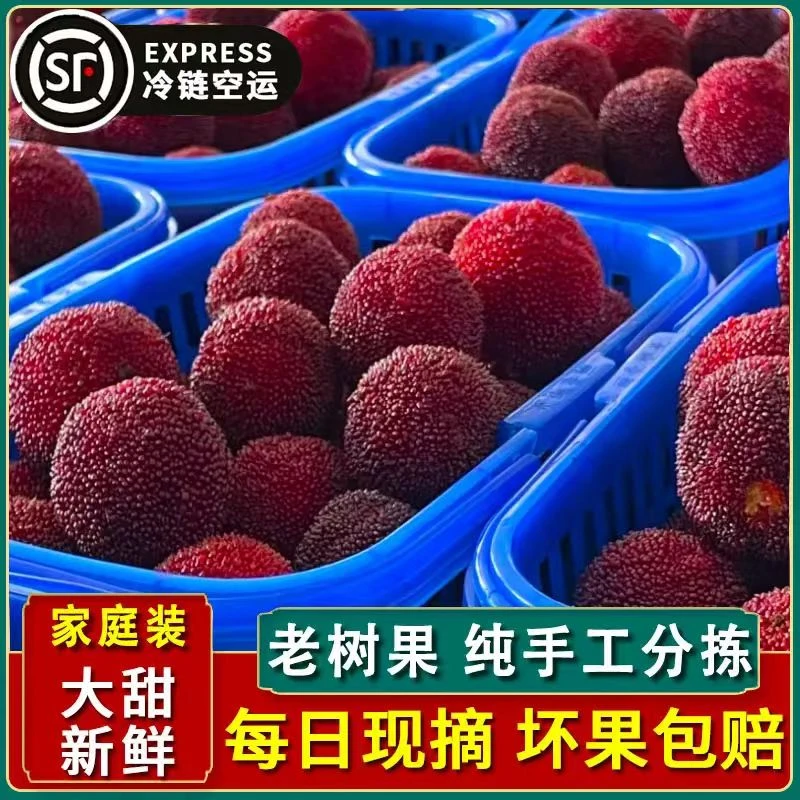 （买三斤送三斤）正宗仙居东魁杨梅中果当天现采现摘顺丰包邮新鲜杨梅浙江省