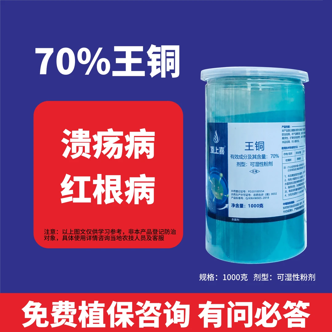 王铜杀菌番茄辣椒豆角四季豆柑橘根腐病红根病溃疡