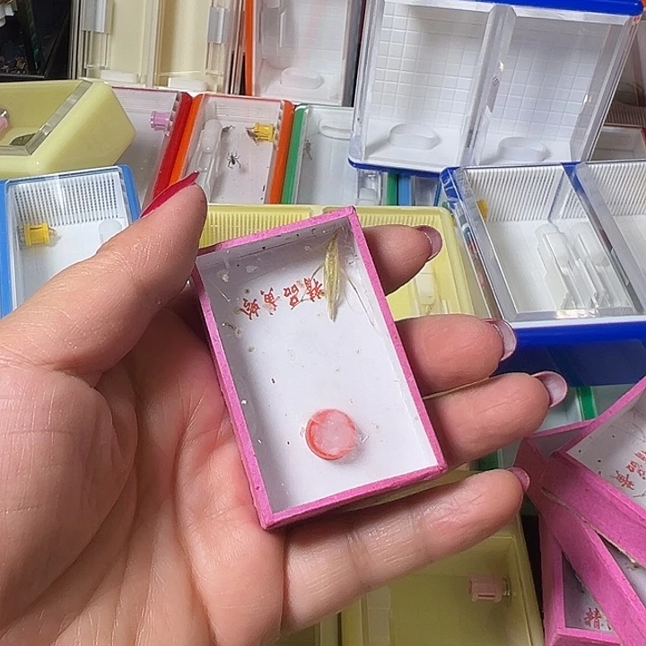 积***化蟋蟀哈哈哈哈哈哈哈哈哈哈
