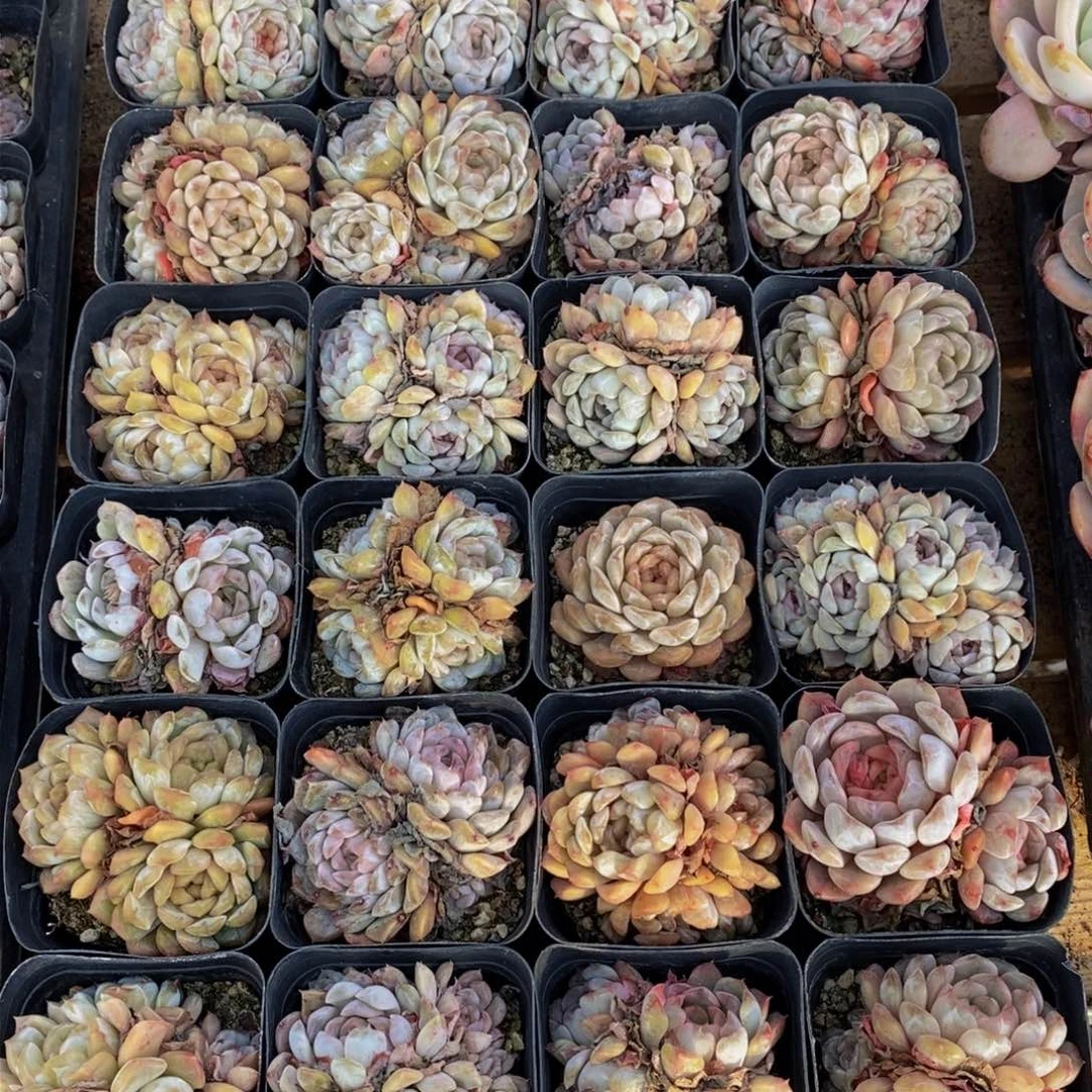 478多人在一起的时候