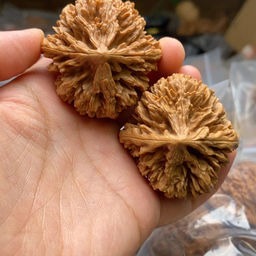 文玩核桃把件花王44尺