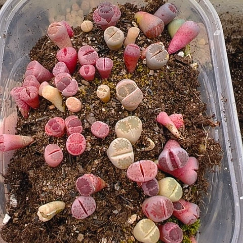 24313哈哈哈哈哈哈哈哈