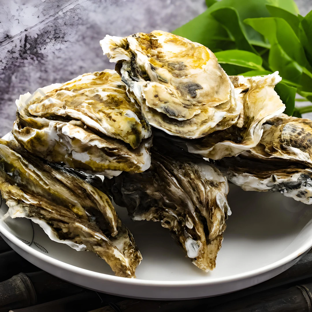 （鲜活）六+乳山生蚝包肥到手10只 5-6斤