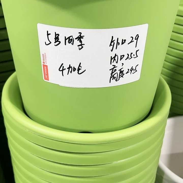 特价5号口29高24.5白色5只无托