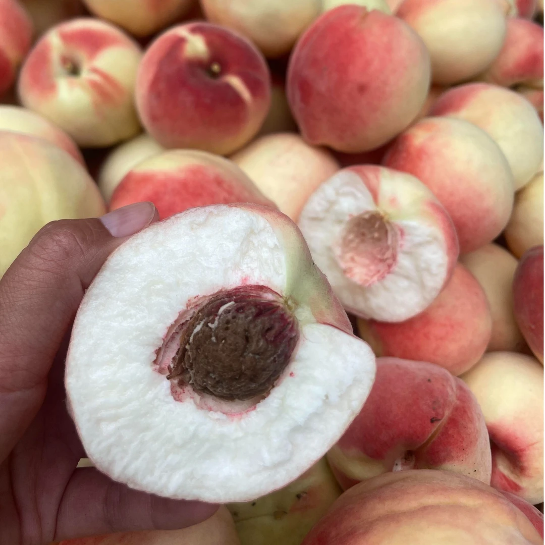 【老14号离核桃】天津本地老14号离核桃/老品种(顺丰包邮)天津市