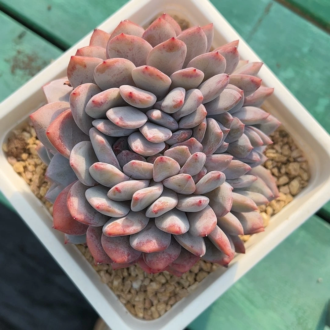 xjgjgjgjhhhbhhhhhhhh