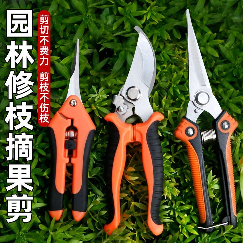 家用修枝剪果树专用剪子鲜花园艺剪不锈钢剪树枝绿化嫁接园林剪刀
