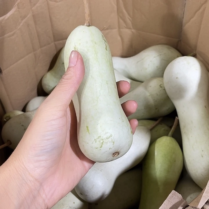 大果紫檀（缅甸花梨）徐*县