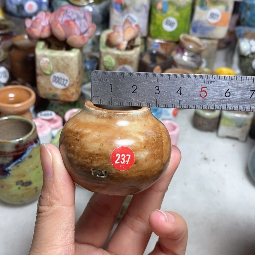 拍5送一个小礼物