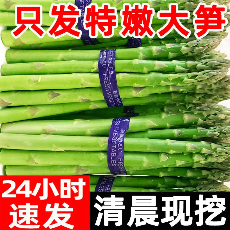 【精品大笋】2025年春季绿色精品新鲜绿芦笋自种现摘现发