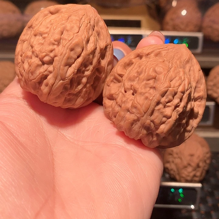 文玩核桃把件九月44尺全品