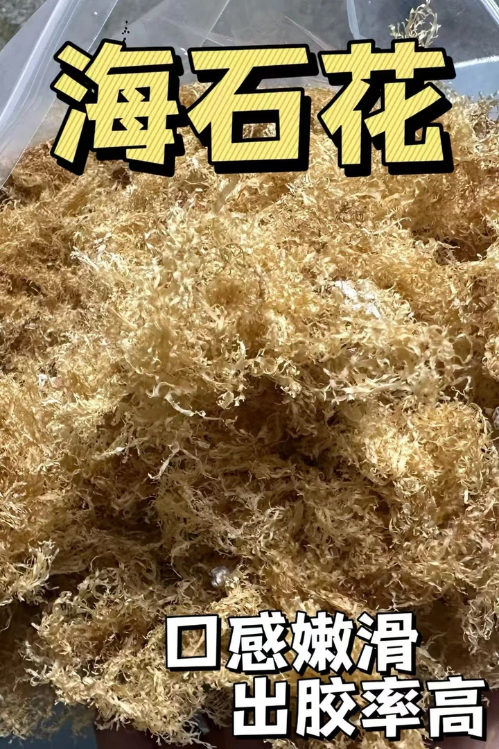 潮汕特产海石花干货石花膏海凉粉岩衣胶四果汤配料