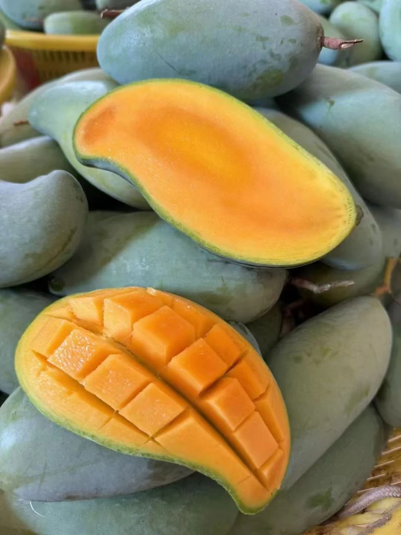 正宗广西百色青芒桂七香芒新鲜现摘当季水果桂七芒