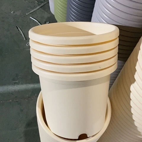 树脂四季4号5个无托米黄