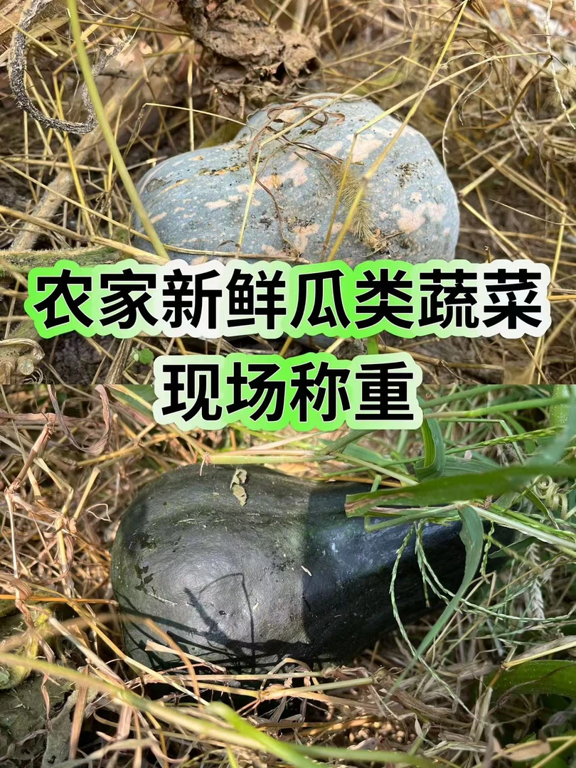 8号【新鲜瓜类】农家自种蔬菜现场称重-以实际下单瓜类为准介意勿拍