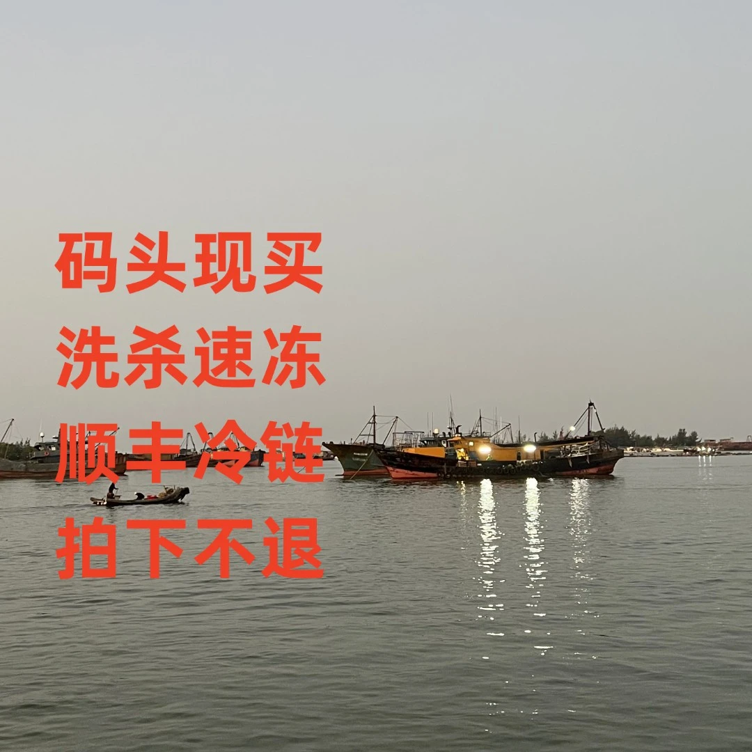 当日限定 神泉 定制套餐8 请勿私拍