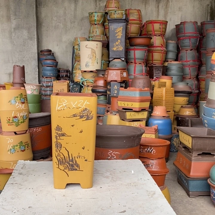 紫砂花盆盆栽花卉苗木种植