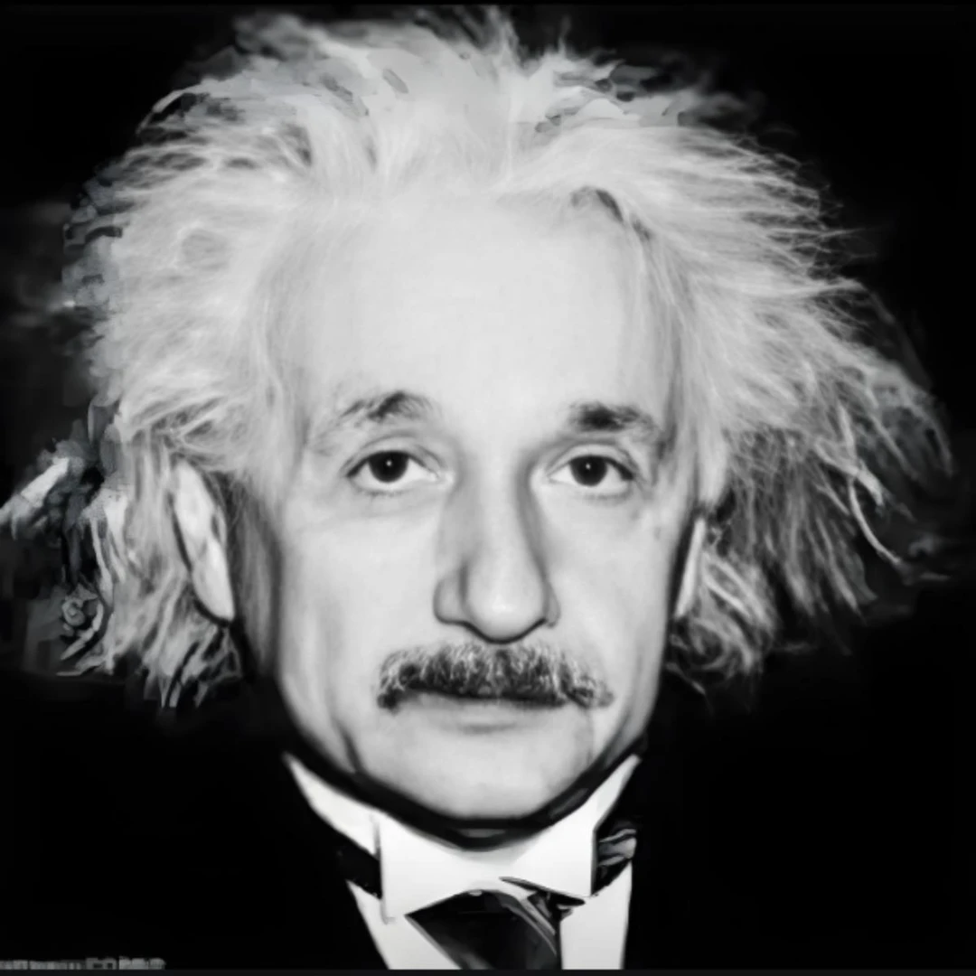 爱因斯坦的脑子。拍下后自动长到你的大脑上。买过都说长脑子了。