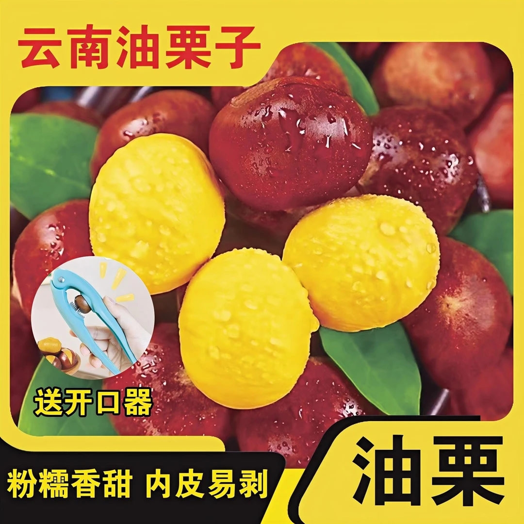 云南新鲜头茬红壳板栗现摘现发好剥皮粉面香甜