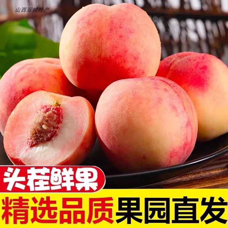 山西脆蜜桃当季新鲜水果现摘软硬两吃鲜甜多汁红不软桃水蜜桃