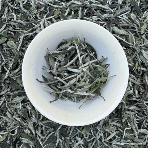 2024碳焙牡丹王 古法碳焙工艺 内置丰富 毫香蜜韵感足