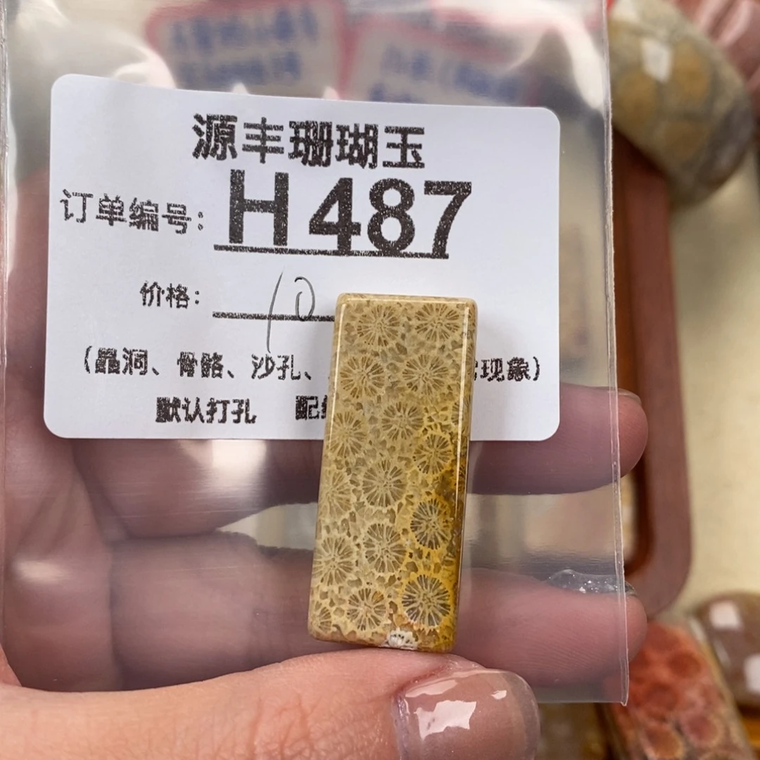 硅化玉颈饰未镶嵌靴****?