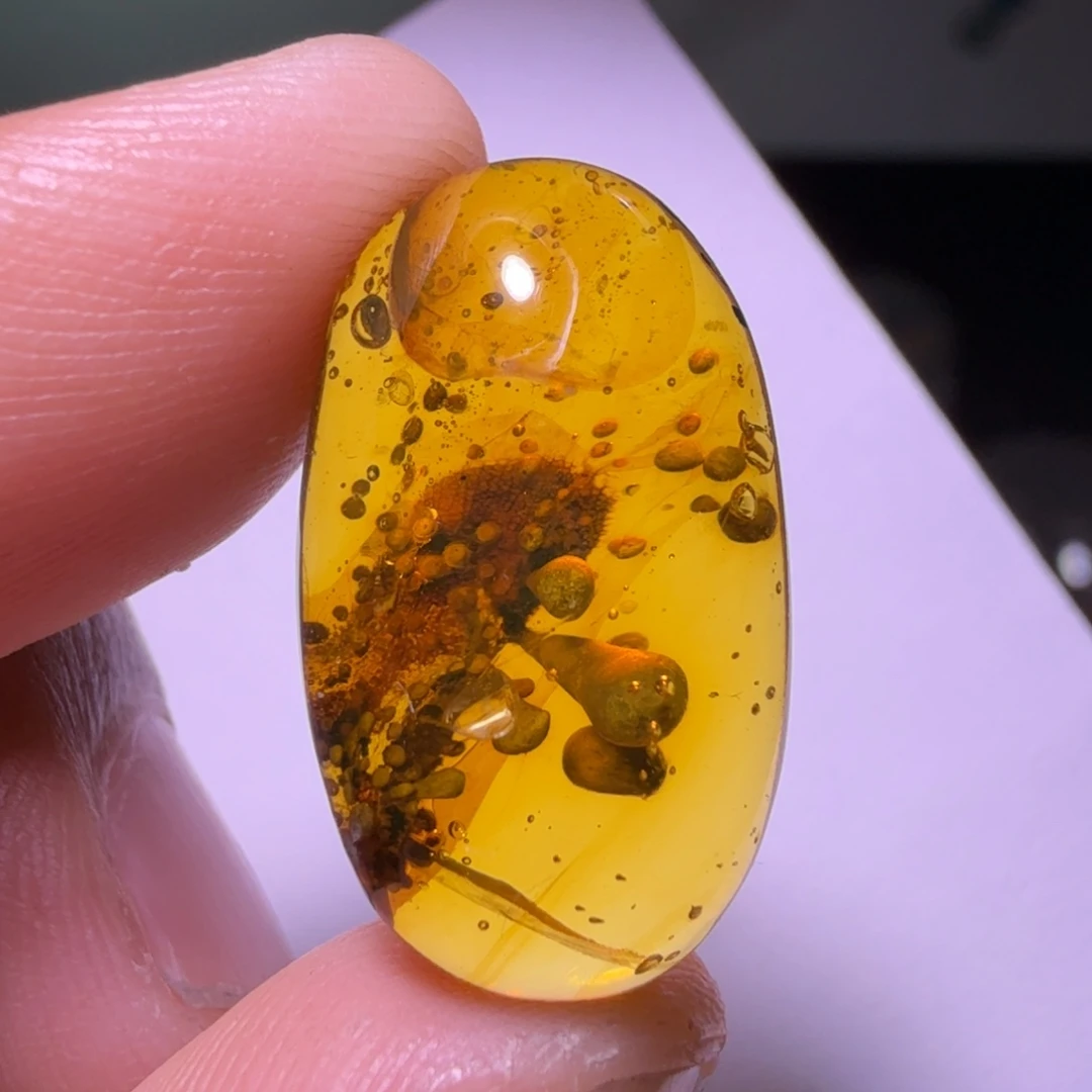 琥珀未镶嵌裸石《孢子戒面》