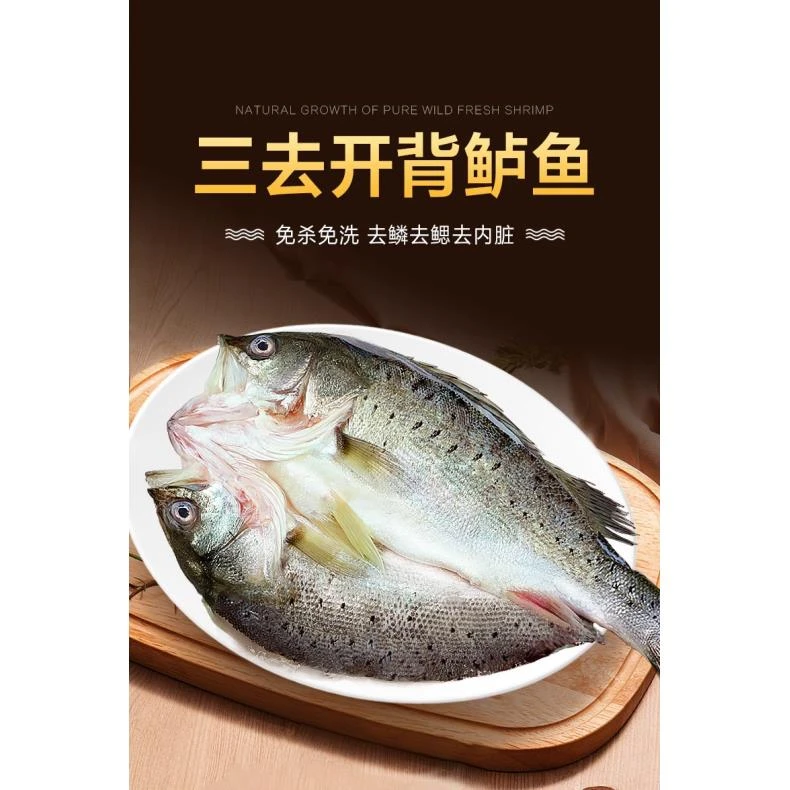 开背海鲈鱼4条500/600三去 冷冻海鱼水产
