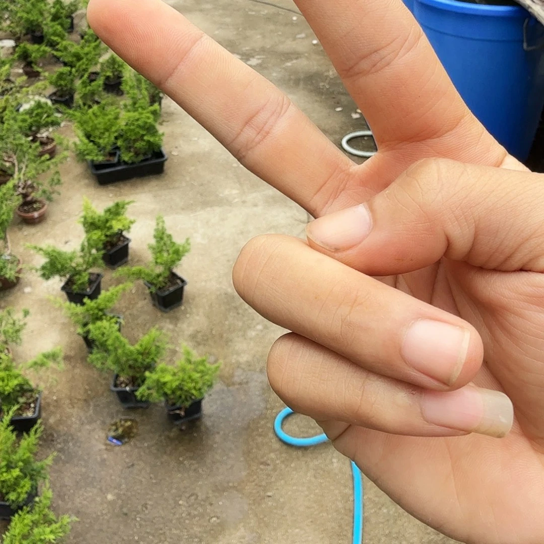 大黑袋3–6一袋包邮，青海西藏新疆勿拍