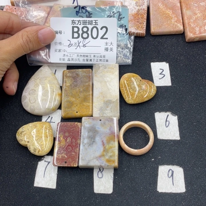 硅化珊瑚（珊瑚玉）颈饰合金水*