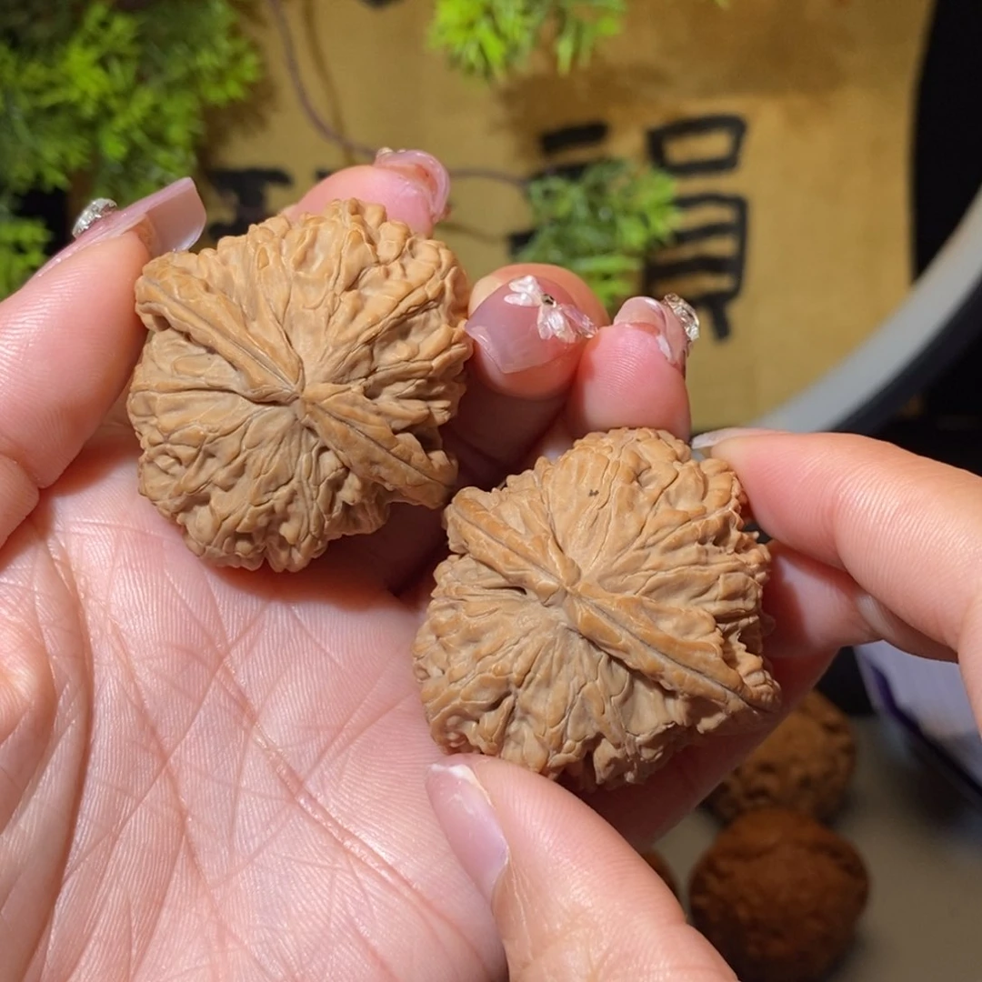 核桃手串/手链41尺全品白狮子
