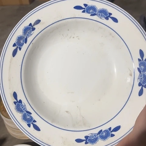 其他瓷8寸深盘一个