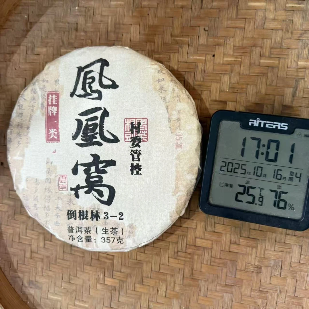 23年易武凤凰窝倒根林3-2村委管普洱生茶饼357克MKHY1号10月16日
