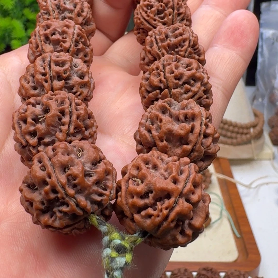 金刚菩提手串蜂窝双龙