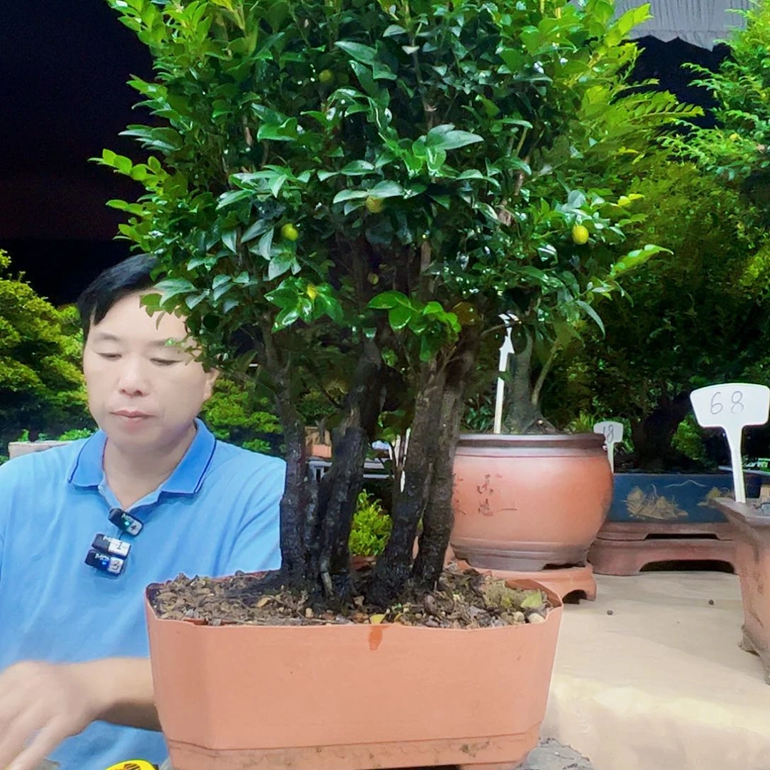 无花朵红*，秀明园艺秀明园艺