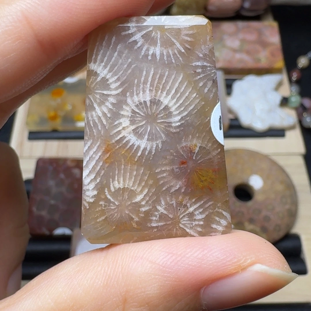 未镶嵌蒲公英硅化玉