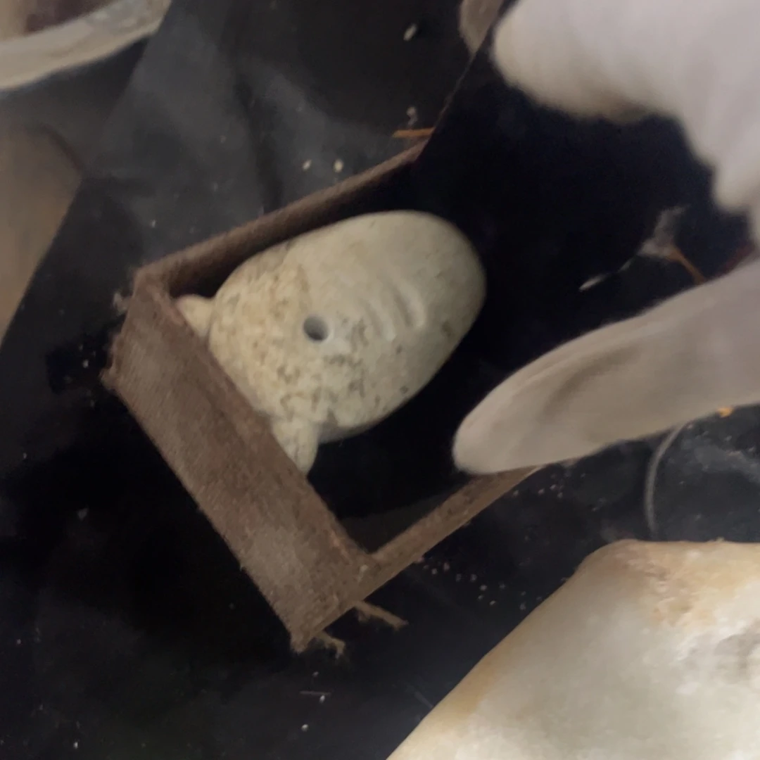 缸木**川v x bu cv nc nv