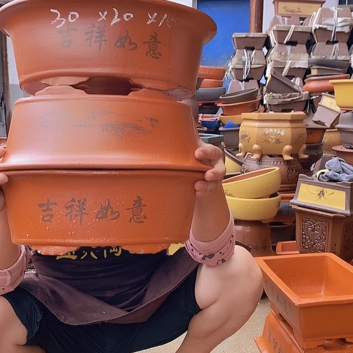 紫砂花盆紫砂花盆