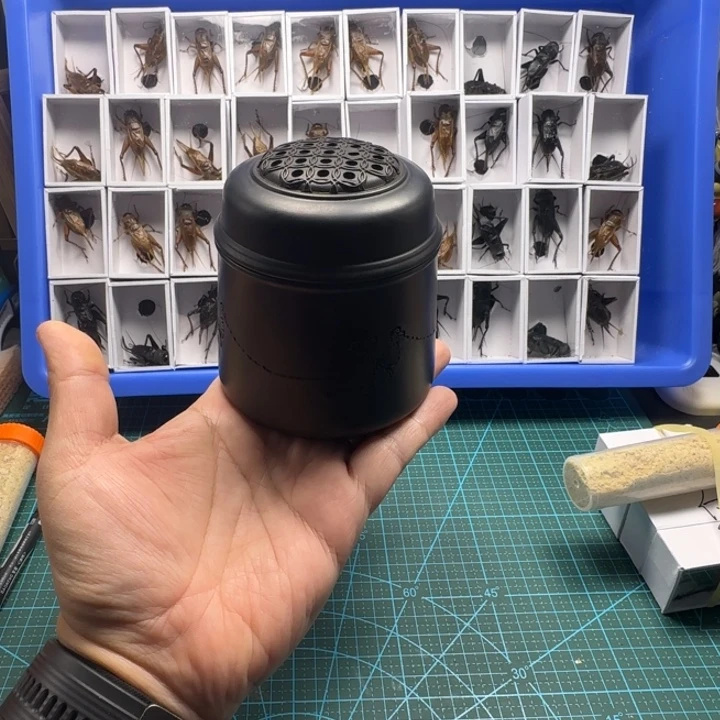 黑虫油葫芦叫罐1个