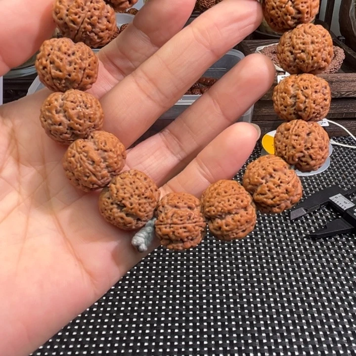 手串金刚菩提果冻底
