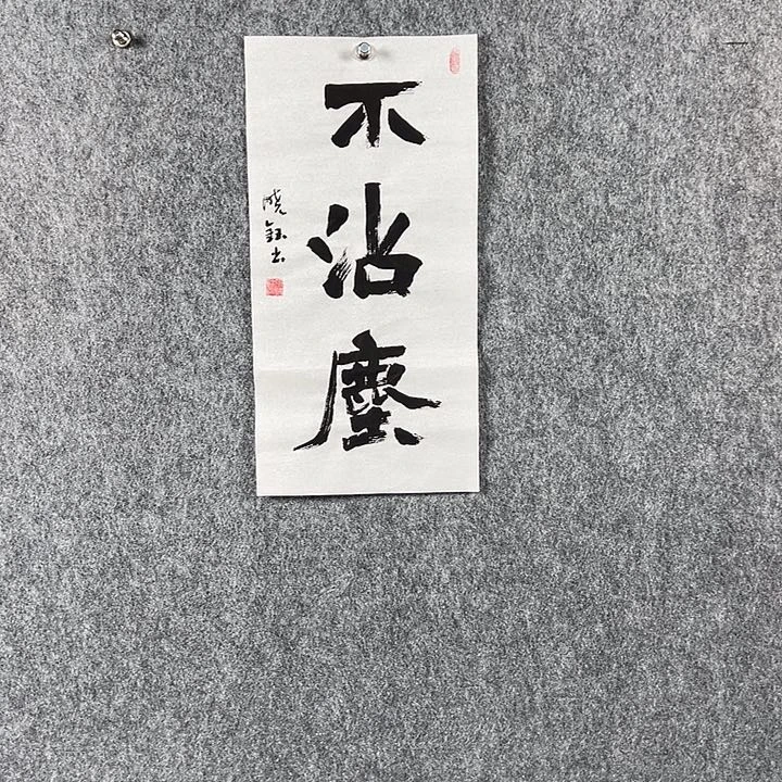 书法张晓钰二平不沾尘
