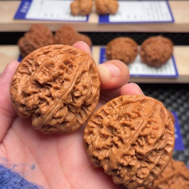 核桃12号原桩大粗筋43尺