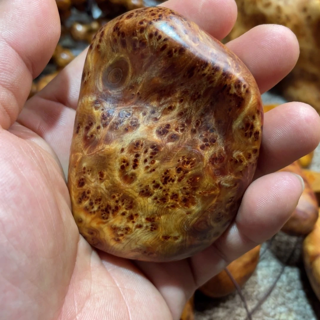 柏木（崖柏）其他把