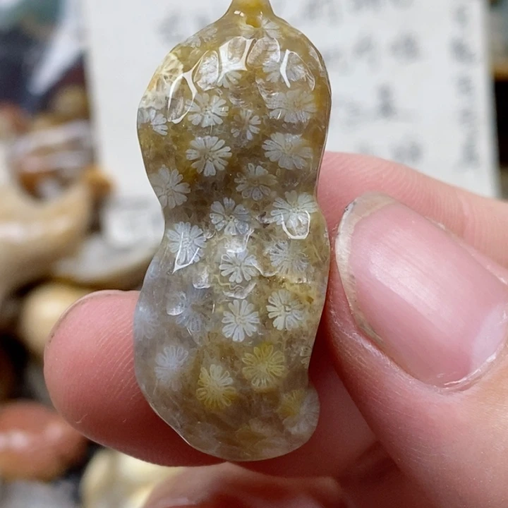 硅化珊瑚（珊瑚玉）未镶嵌颈饰