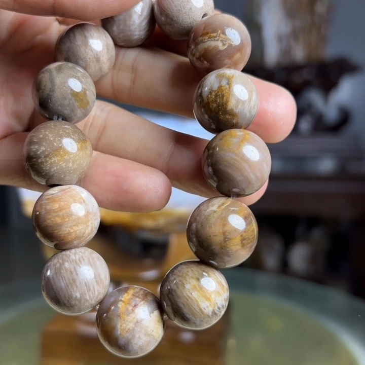 赵***龙硅化玉未镶嵌珠宝奇石